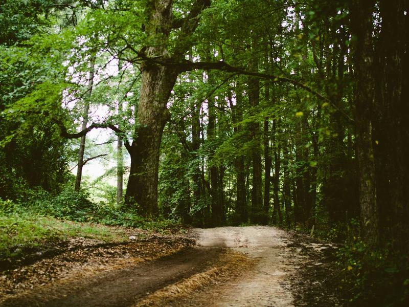 sudoku full version screenshot 3